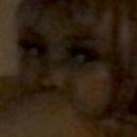 Kittypet Alaston