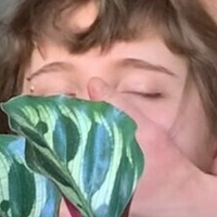 miomio.uwu Alaston