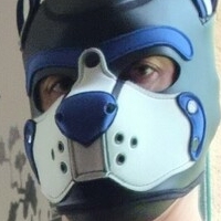 pupbuday Alaston