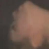 Taybisox Alaston