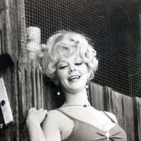 Virginia Wood Alaston